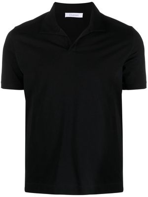 Cruciani spread-collar polo shirt - Black