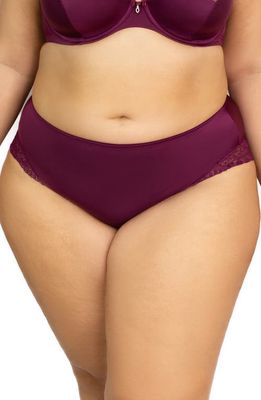 Curvy Couture Tulip Lace Trim Briefs in Purple Velvet