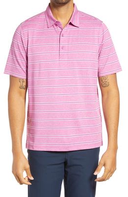 Cutter & Buck Forge DryTec Stripe Performance Polo in Aster