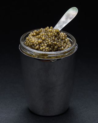 Cylindrical Caviar Server