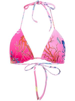 Cynthia Rowley coral-print bikini top - Multicolour