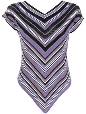 D.Exterior striped sleeveless knit top - Purple