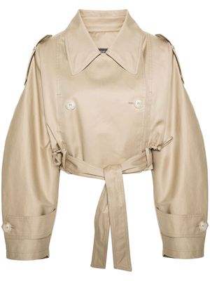 Dark Park double-breasted cropped jacket - Neutrals