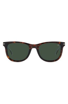 David Beckham Eyewear 52mm Rectangular Sunglasses in Havana/Green