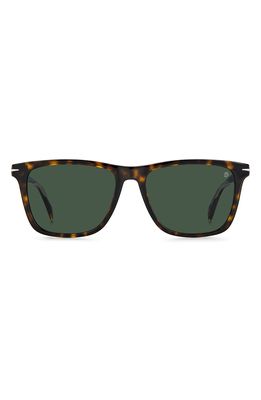 David Beckham Eyewear 55mm Rectangular Sunglasses in Havana /Green