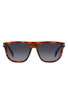 David Beckham Eyewear 56mm Square Sunglasses in Brown Horn/Grey Shaded