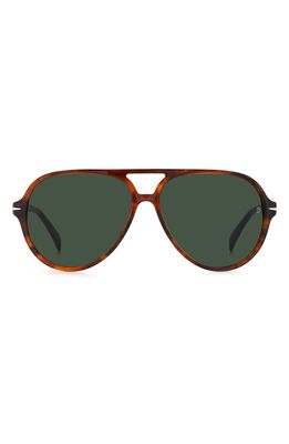 David Beckham Eyewear 60mm Polarized Aviator Sunglasses in Brown Horn /Green