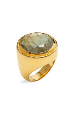 Dean Davidson Signature Labradorite Ring in Labradorite/Gold