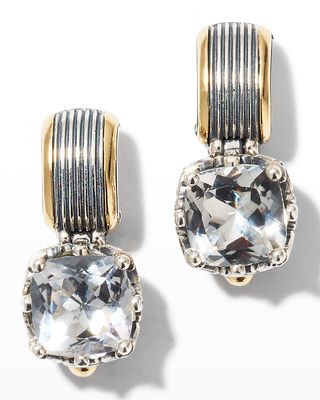 Delos Two-Tone Crystal Earrings
