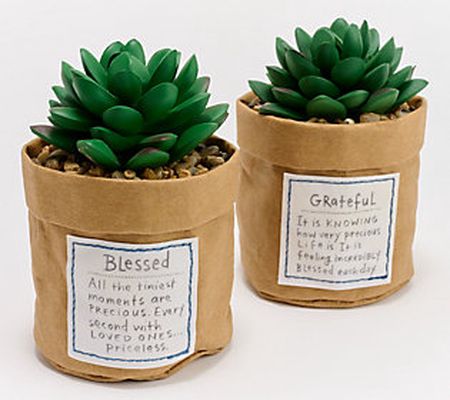 DEMDACO Plant Kindness S/2 Lifelike Inspo Succulents