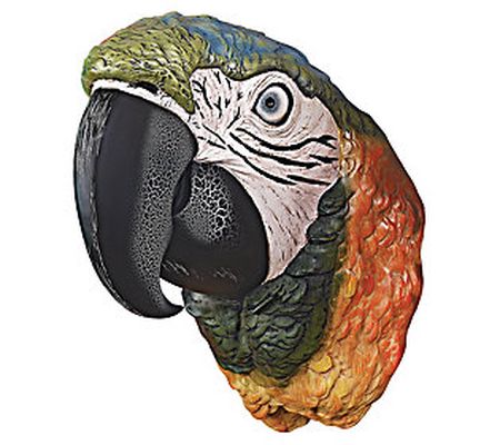 Design Toscano Parrot in Paradise Wall Plaque