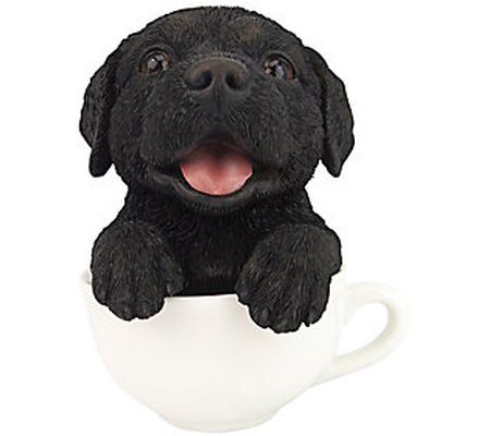 Design Toscano Puppuccino Pup In Cup Collectibl e Dog Statue