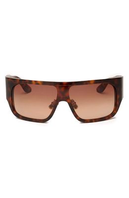 DEZI BlockedT 125mm Oversize Shield Sunglasses in Fiery Tortoise /Sienna Faded 