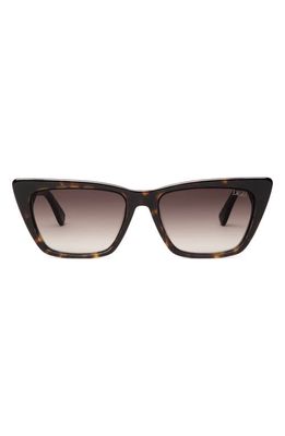 DEZI Gato 55mm Cat Eye Sunglasses in Tort /Brown Gradient