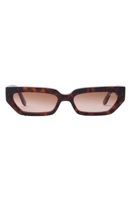 DEZI Lil Switch 55mm Rectangular Sunglasses in Fiery Tortoise /Sienna Faded 