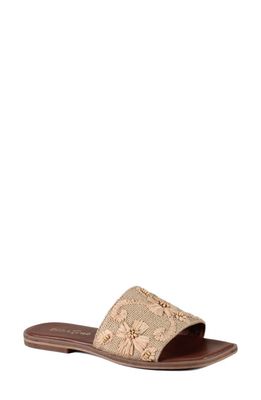 Diba True Viva City Slide Sandal in Natural