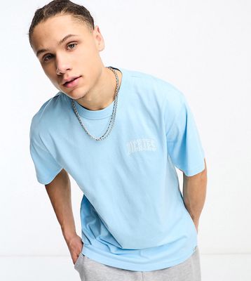 Dickies aitkin left chest varsity logo t-shirt in sky blue