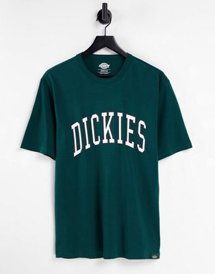Dickies Aitkin t-shirt in green