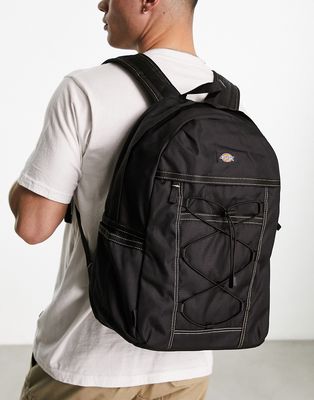 Dickies Ashville backpack in black