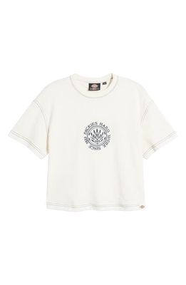 Dickies Beavertown Cotton Graphic T-Shirt in Cloud