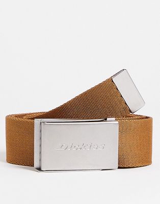 Dickies Brookston belt in brown