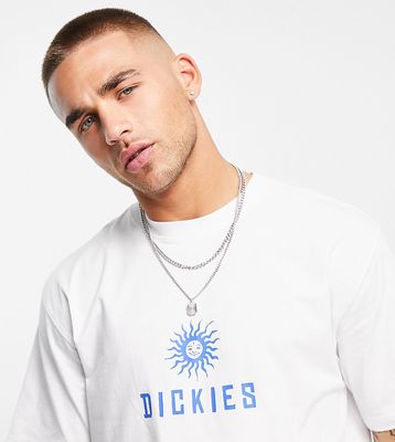 Dickies Central Logo t-shirt in white Exclusive at ASOS