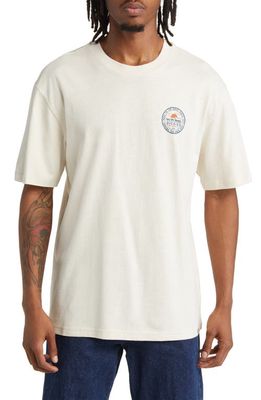 Dickies Greensburg Cotton Graphic T-Shirt in Stone Whitecap Grey