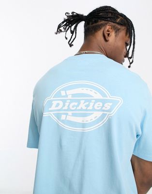 Dickies holtville back print T-shirt in sky blue