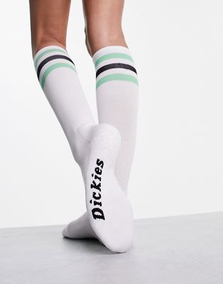 Dickies Lutak socks in green
