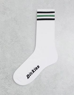 Dickies Lutak socks in white-Green