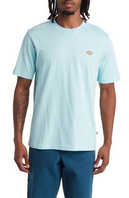 Dickies Mapleton Logo T-Shirt in Pastel Turquoise