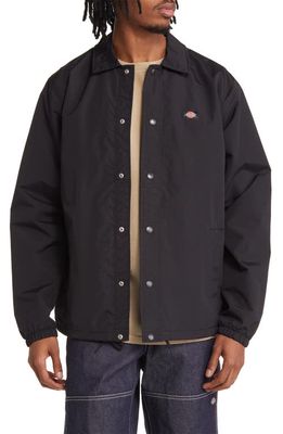 Dickies Oakport Snap-Up Coach Jacket in Black