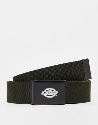 Dickies Orcutt belt in khaki-Green