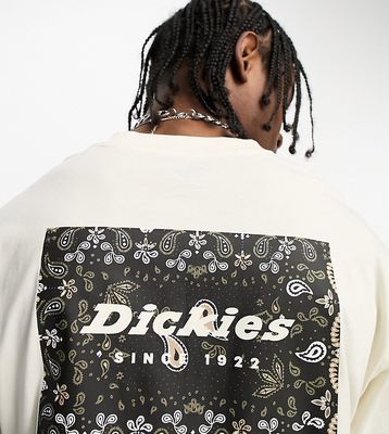 Dickies reworked paisley box back print t-shirt in off white exclusive to ASOS