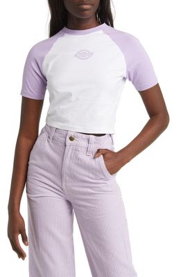 Dickies Sodaville Colorblock Stretch Cotton Crop T-Shirt in Purple Rose