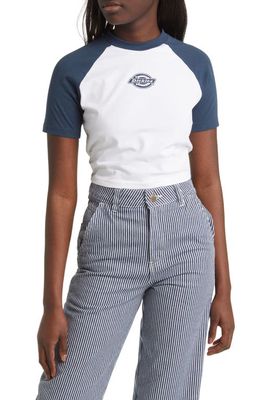 Dickies Sodaville Cropped Graphic Tee in Airforce Blue