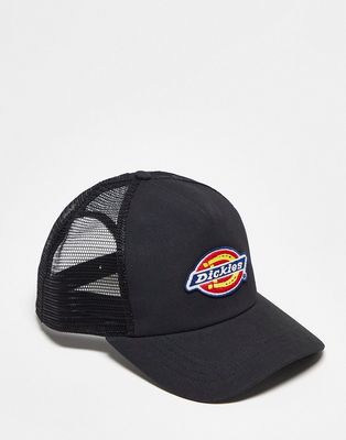Dickies Sumiton trucker cap in black