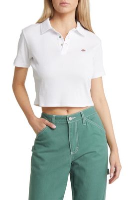 Dickies Tallasee Rib Crop Cotton Polo in White