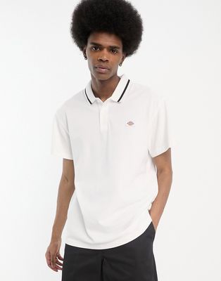 Dickies Tallasee short sleeve polo shirt in white with contrast tipping