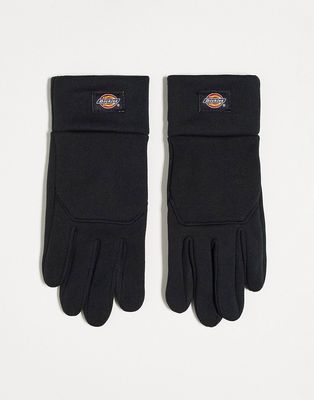 Dickies touch gloves in black