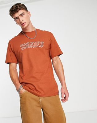 Dickies Union Springs t-shirt in burnt orange