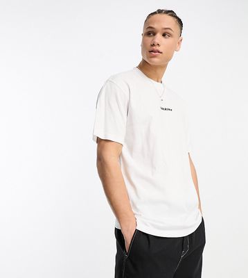 Dickies valley falls central logo t-shirt in white