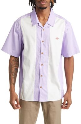 Dickies Westover Stripe Short Sleeve Camp Shirt in Purple Rose