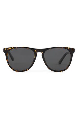 DIFF Darren 55mm Polarized Round Sunglasses in Brown Multi
