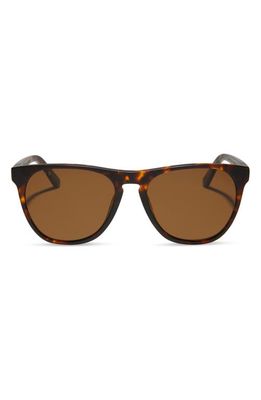 DIFF Darren 55mm Polarized Square Sunglasses in Matte Rich Tort /Brown 