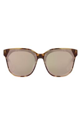 DIFF Gia 62mm Gradient Cat Eye Sunglasses in Lotus Tort