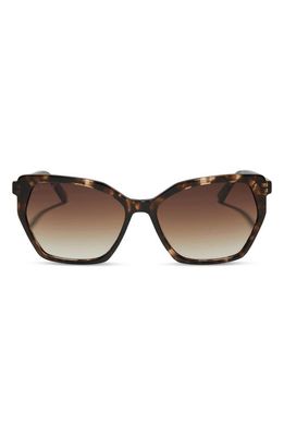 DIFF Vera 55mm Gradient Polarized Square Sunglasses in Brown Gradient