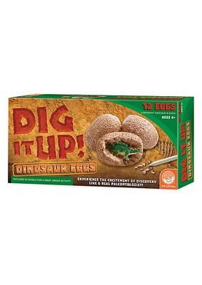 Dig It Up! Dinosaur Toy Eggs