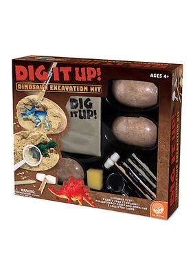 Dig It Up! Toy Dinosaur Excavation Kit