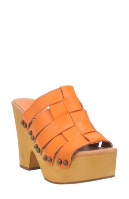 Dingo Dagwood Platform Slide Sandal in Orange